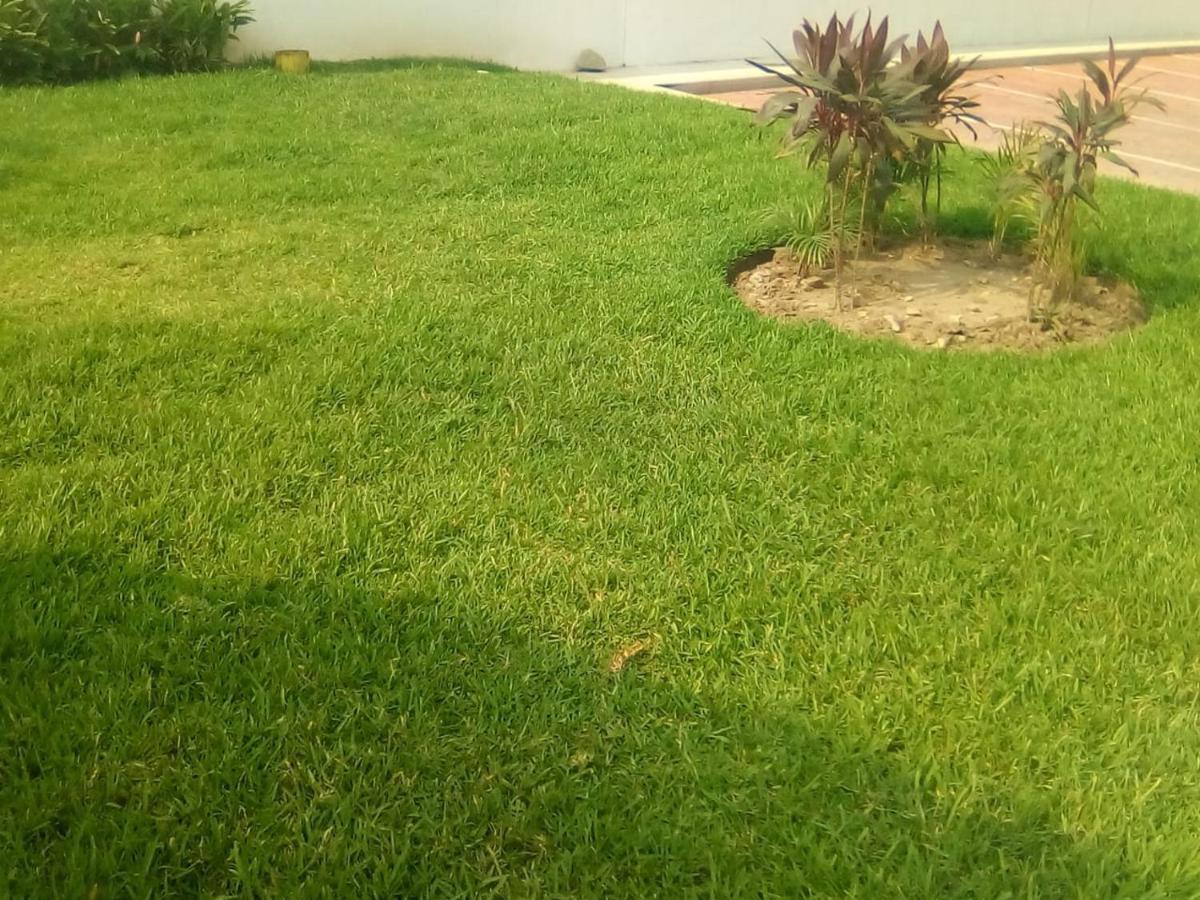 Victor House Apartment Acapulco Exterior photo